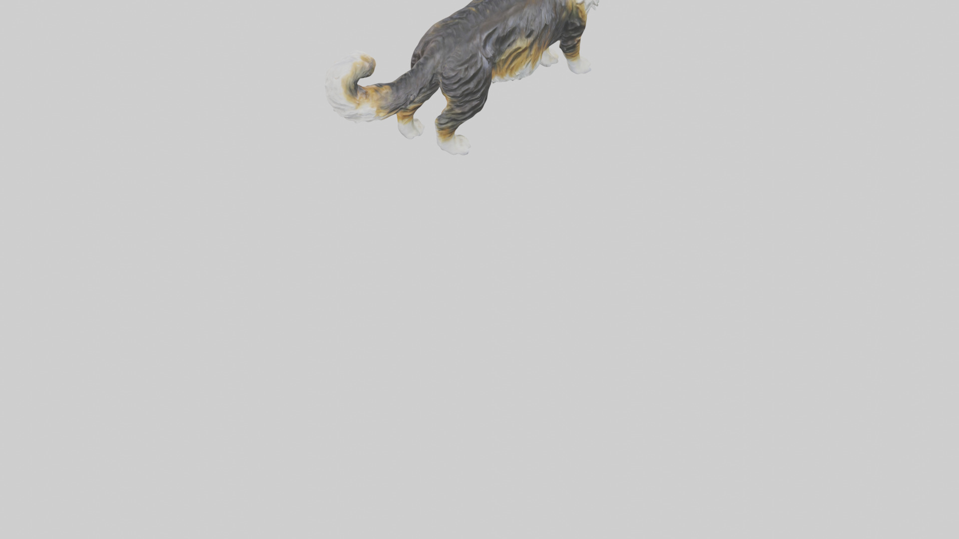 Maine Coon Cat statue model Low-poly 3D model_5