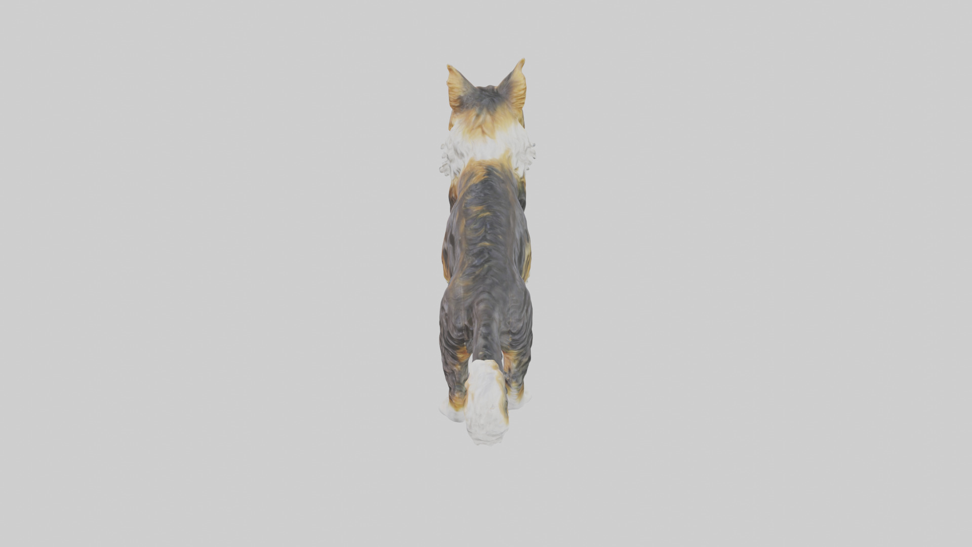Maine Coon Cat statue model Low-poly 3D model_15