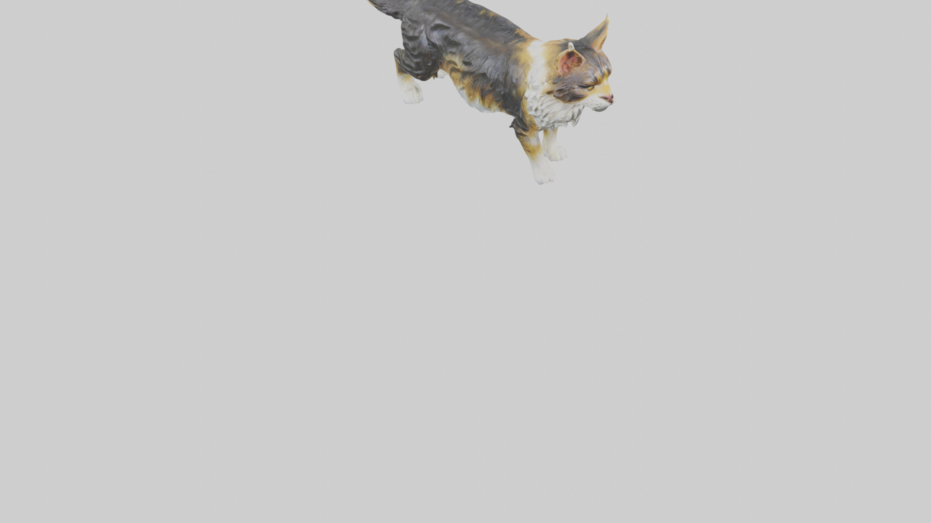 Maine Coon Cat statue model Low-poly 3D model_7