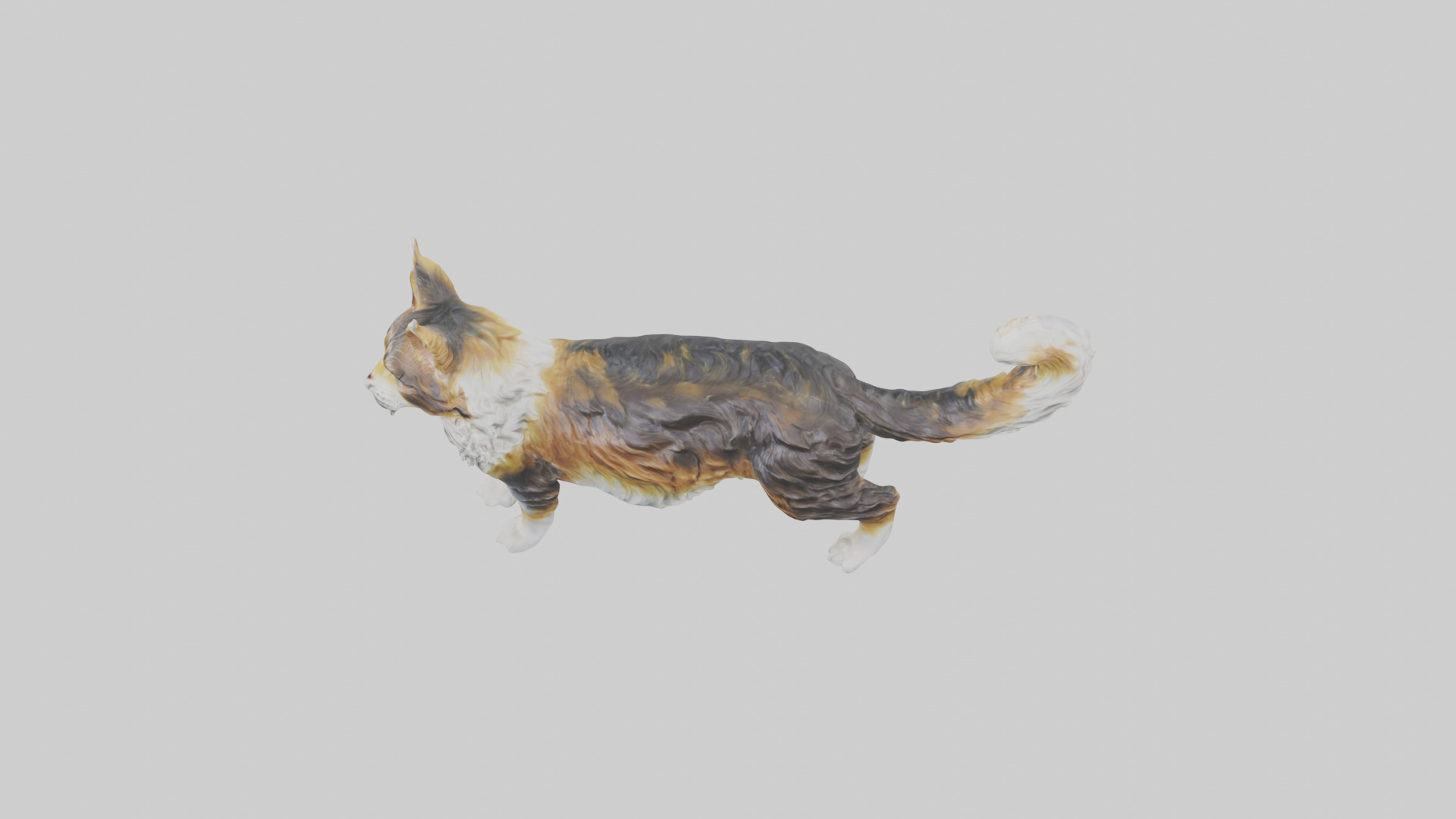 Maine Coon Cat statue model Low-poly 3D model_17