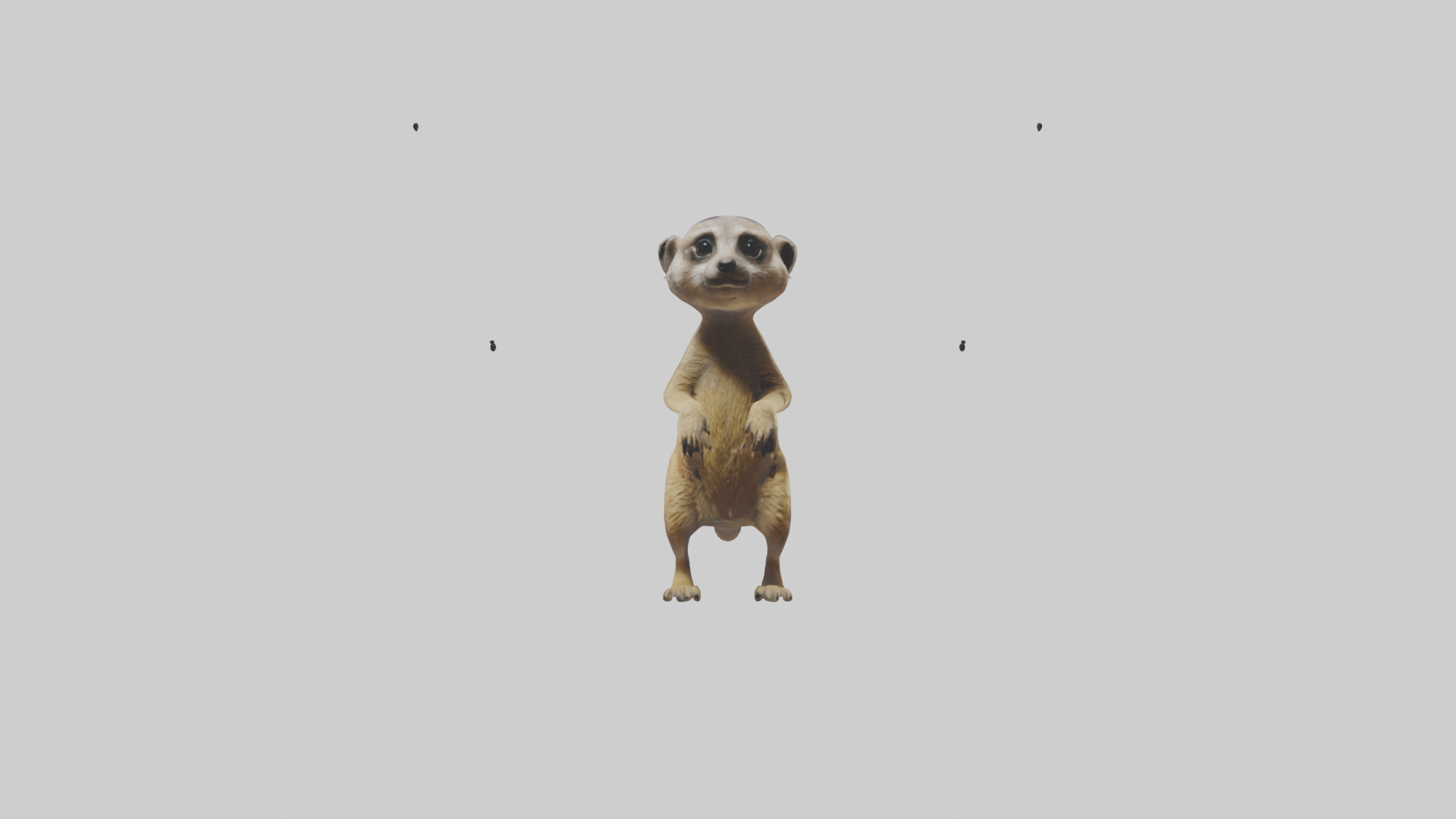 Meerkat cub watching model Low-poly 3D model_9