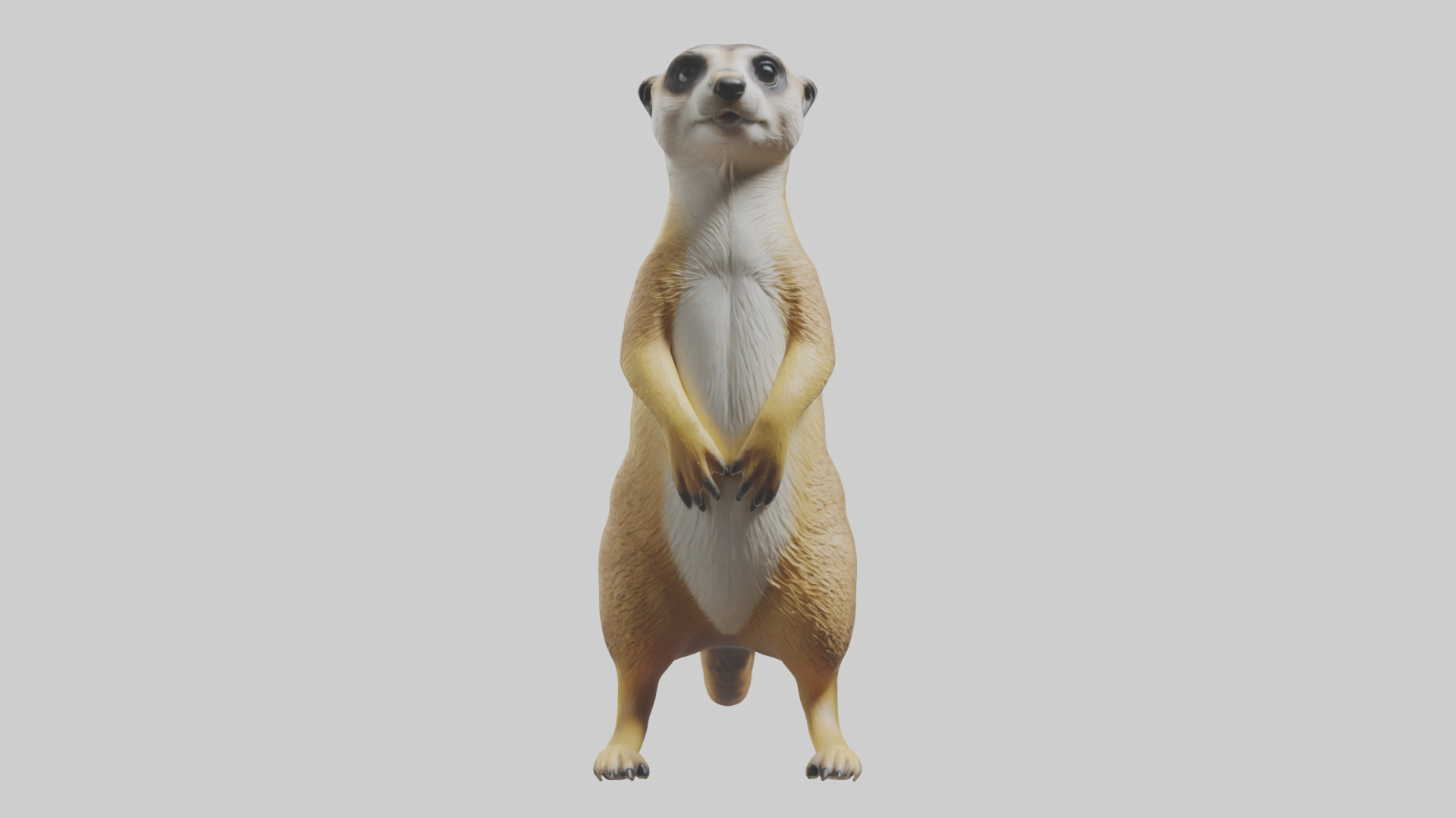 Meerkat standing guard model Low-poly 3D model_9