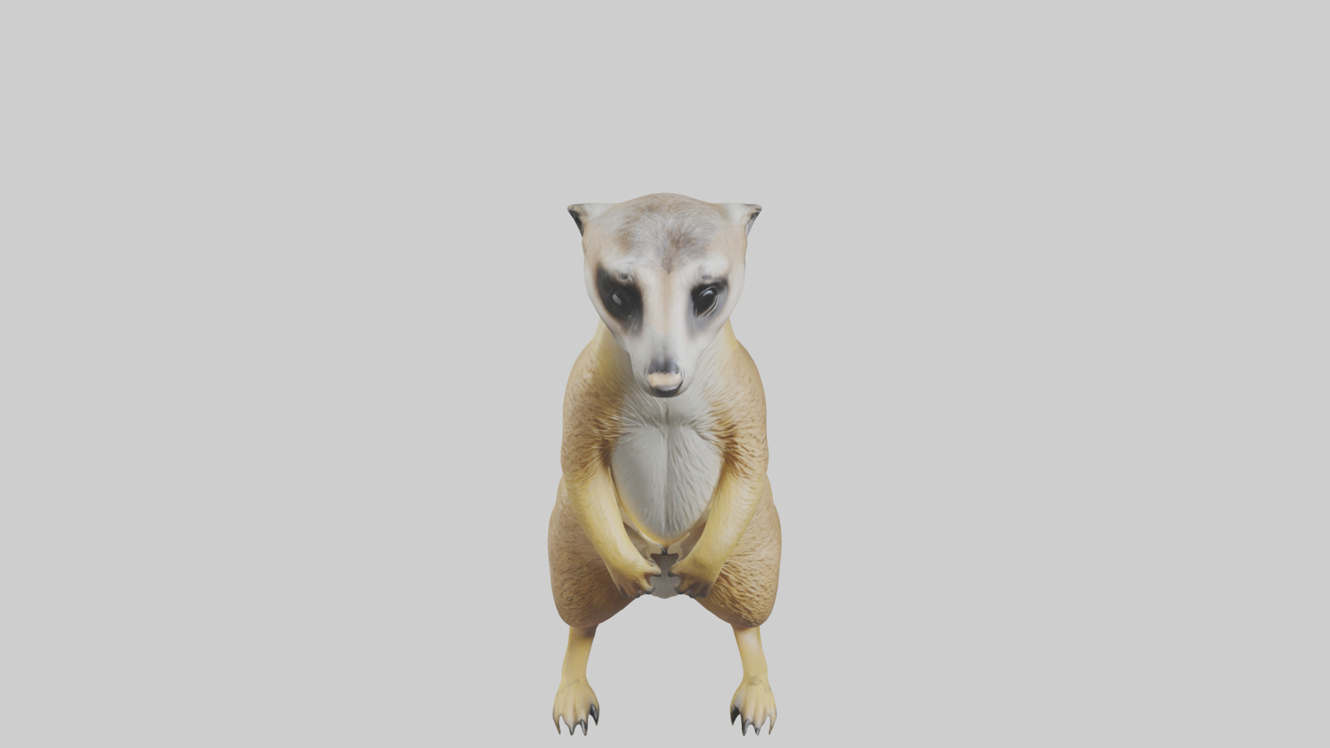 Meerkat standing guard model Low-poly 3D model_16