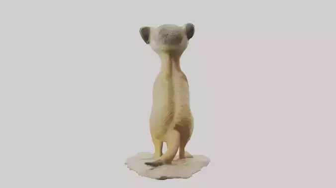 Meerkat standing model