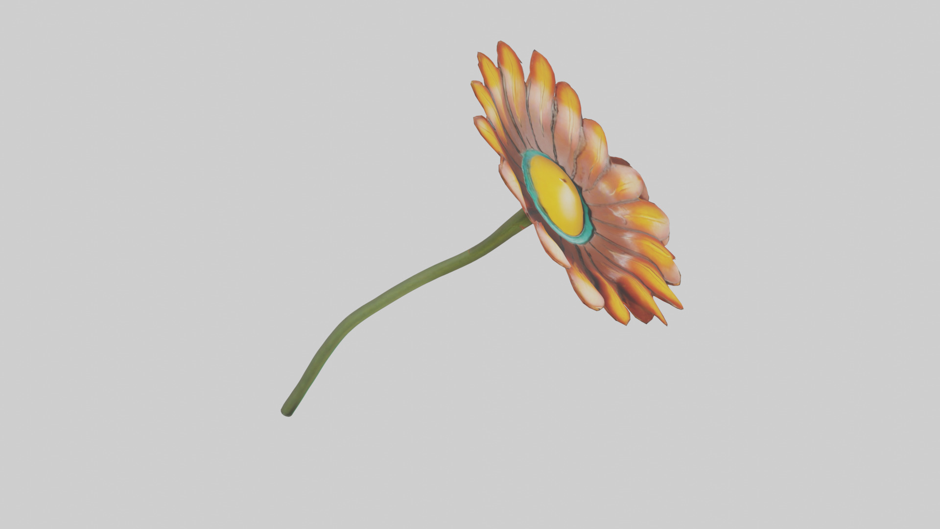 Mexican Hat Flower model Low-poly 3D model_18