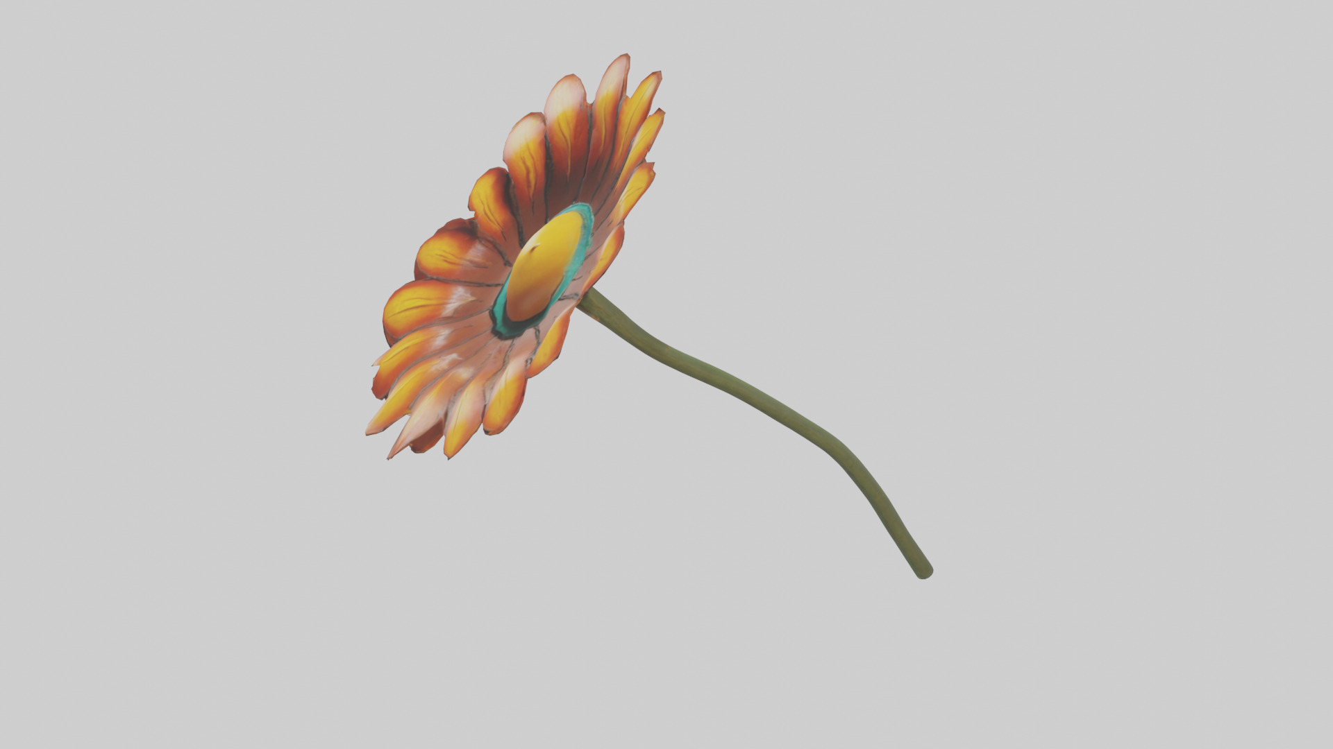 Mexican Hat Flower model Low-poly 3D model_17