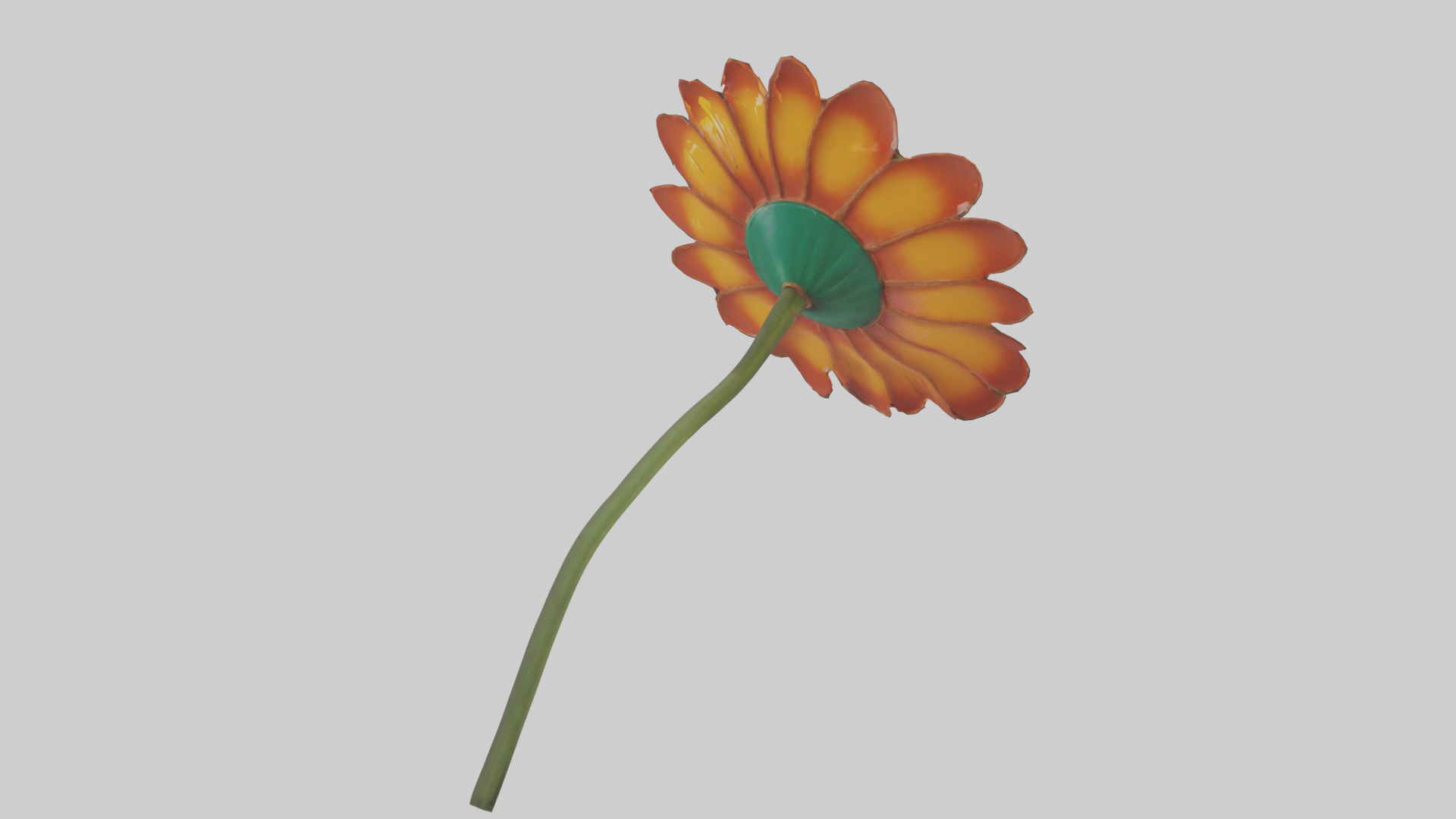 Mexican Hat Flower model Low-poly 3D model_2