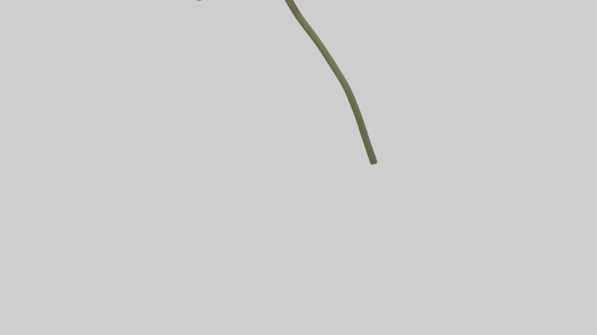 Mexican Hat Flower model Low-poly 3D model_3