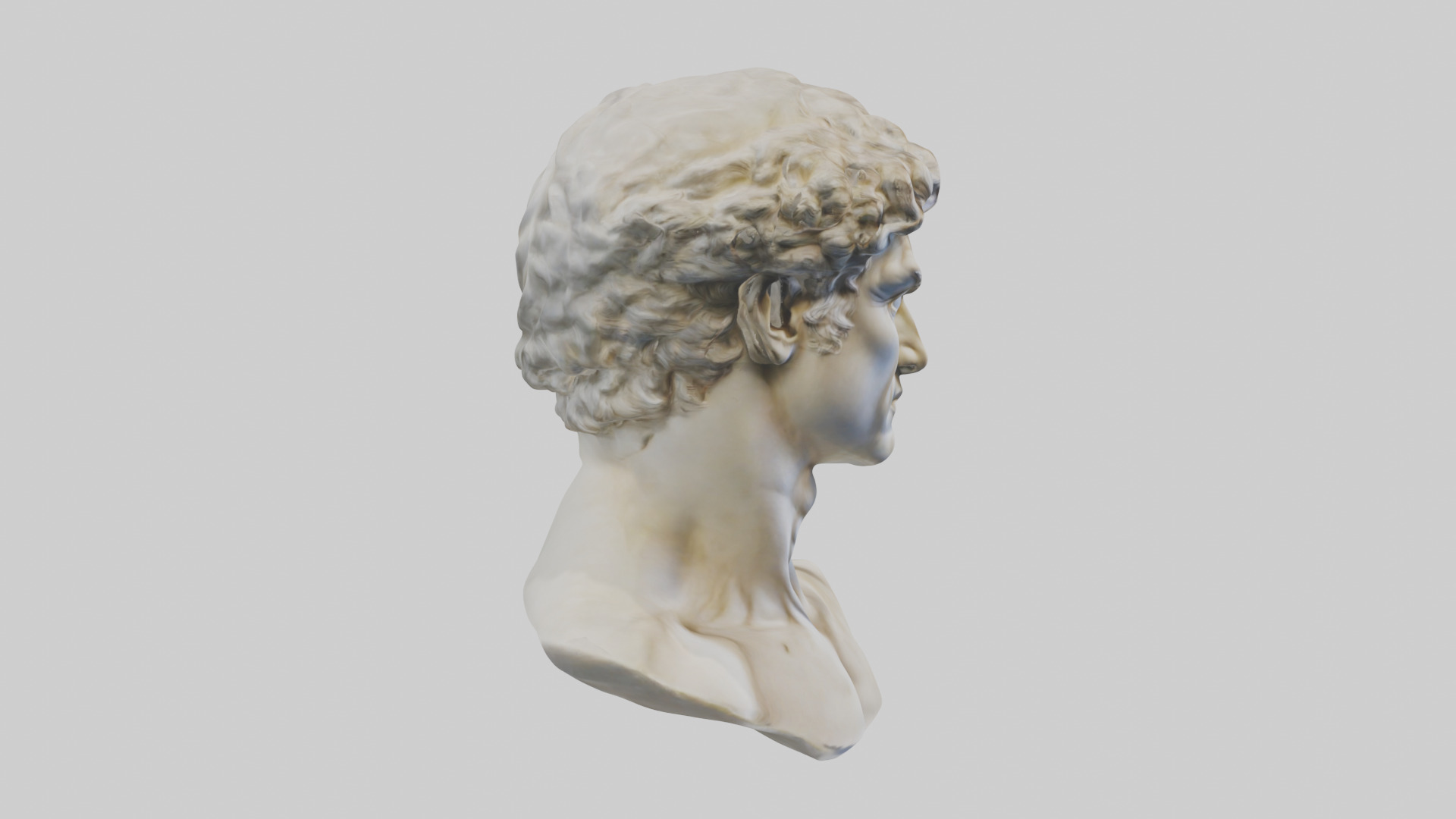Michelangelos David bust model Low-poly 3D model_13