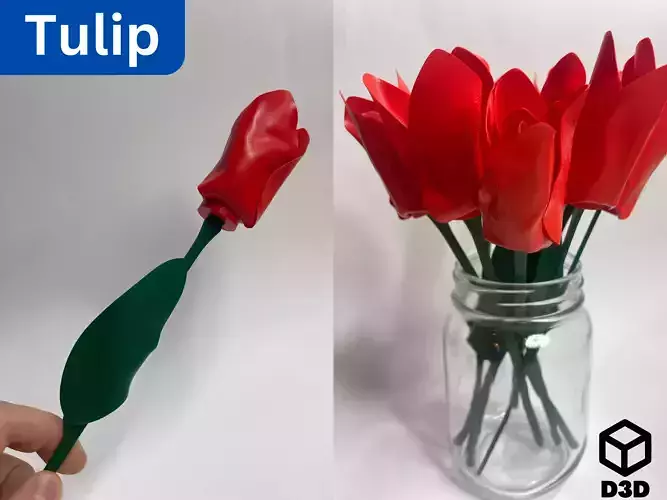 Tulip
