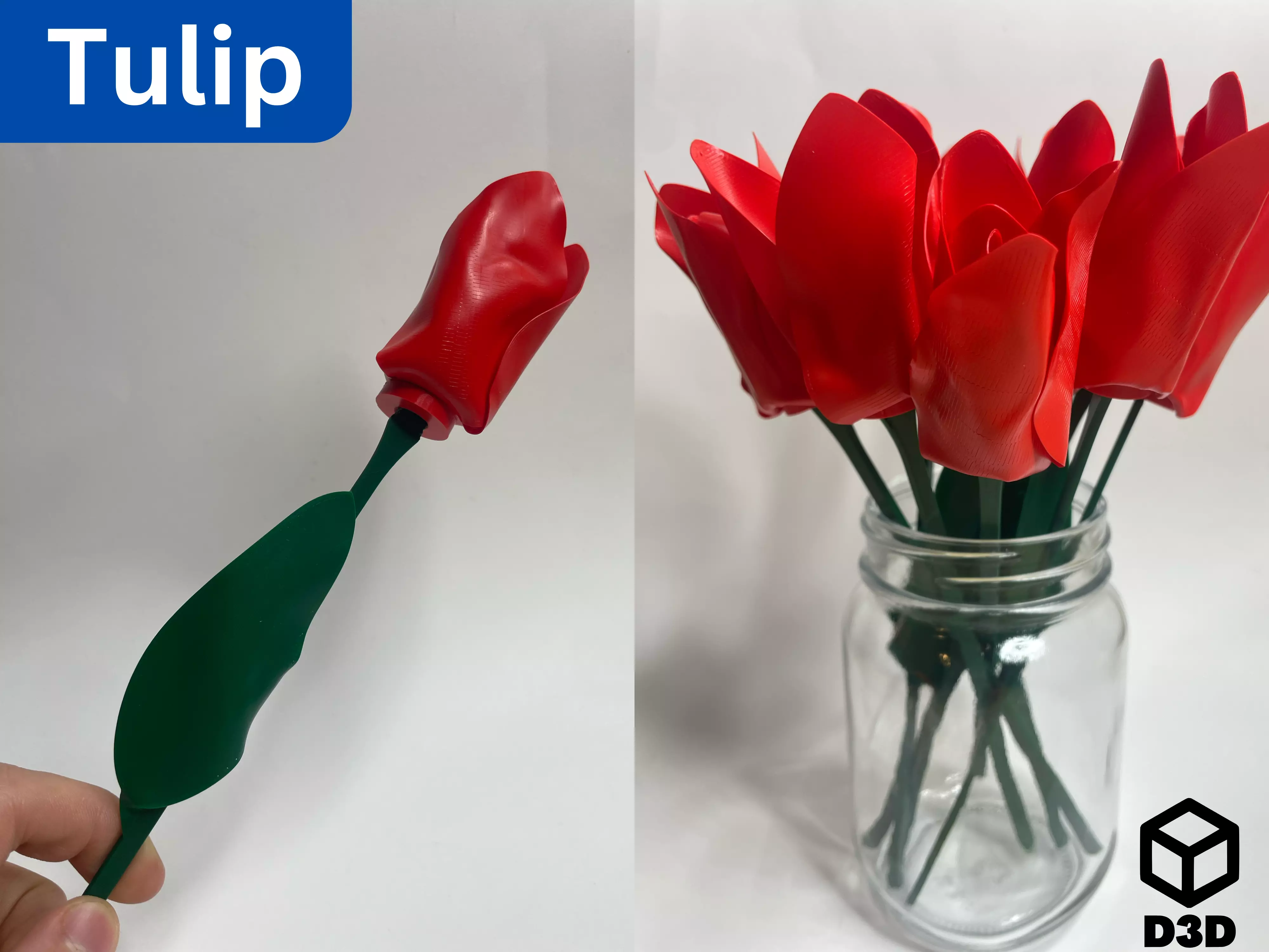 Tulip 3D print model