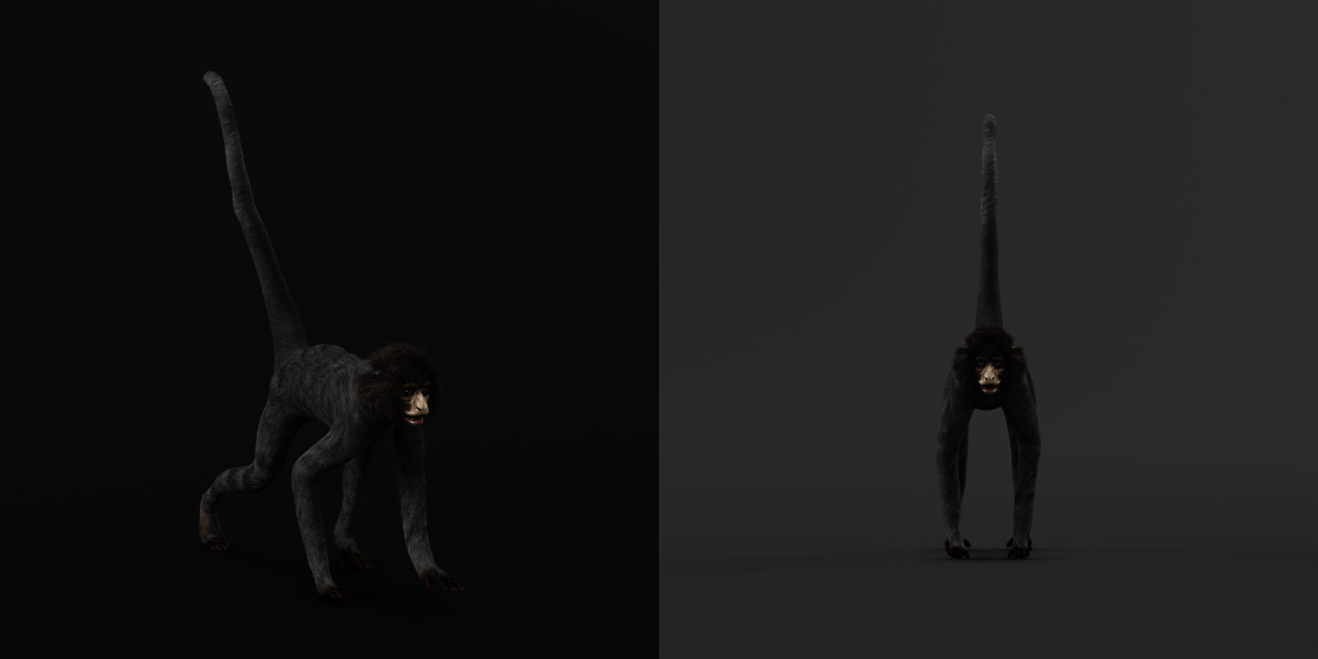 Spider Monkey Low-poly 3D model_9