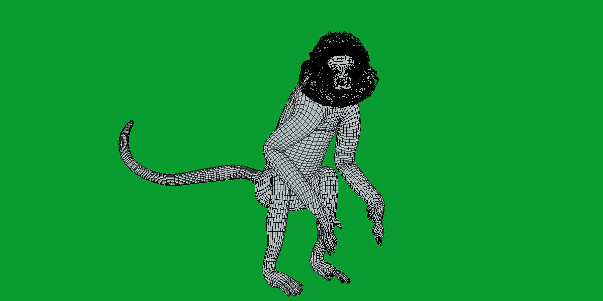 Spider Monkey Low-poly 3D model_22