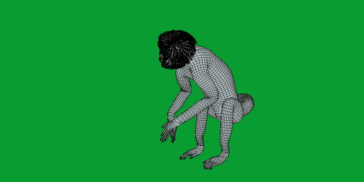 Spider Monkey Low-poly 3D model_23