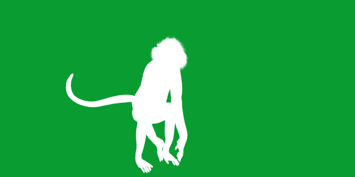 Spider Monkey Low-poly 3D model_10