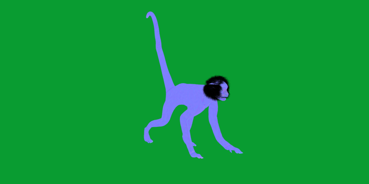 Spider Monkey Low-poly 3D model_12