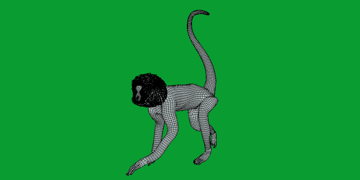 Spider Monkey Low-poly 3D model_24