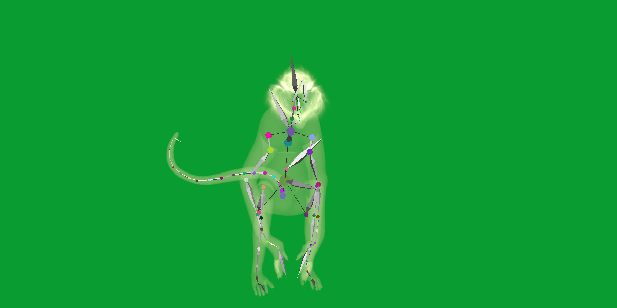 Spider Monkey Low-poly 3D model_6