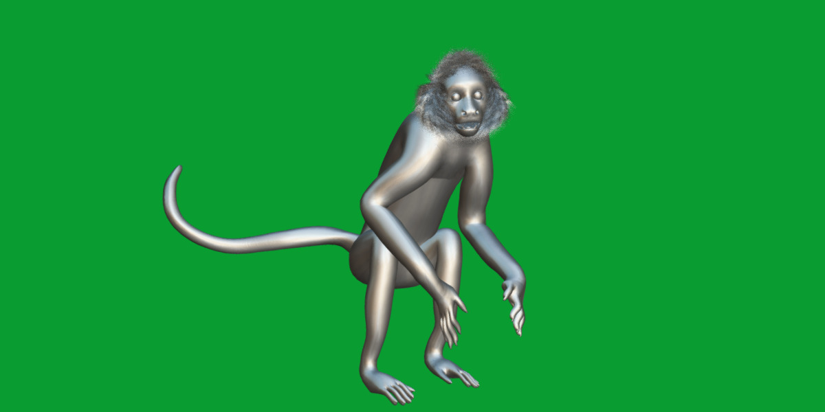 Spider Monkey Low-poly 3D model_19