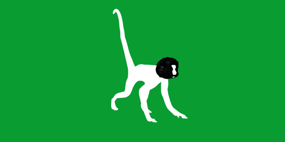 Spider Monkey Low-poly 3D model_14