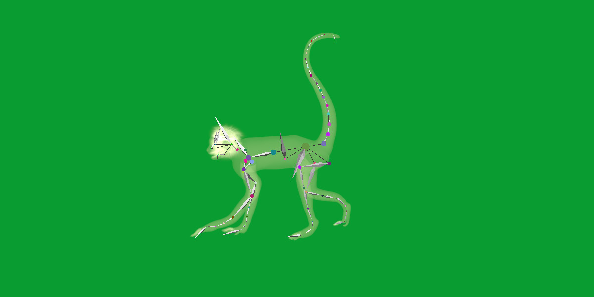 Spider Monkey Low-poly 3D model_34