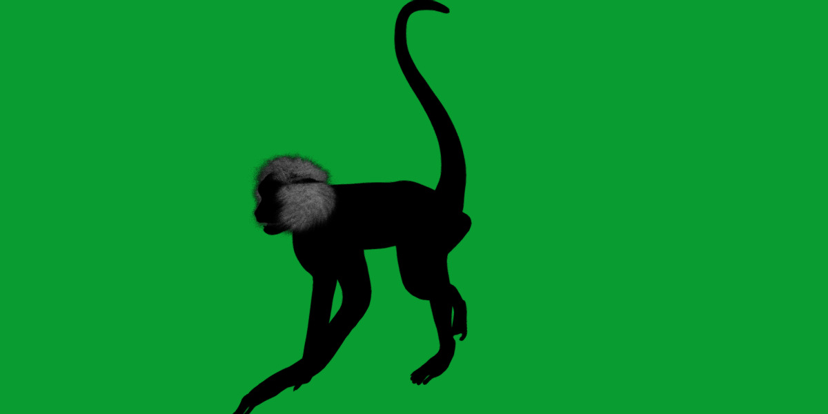 Spider Monkey Low-poly 3D model_15