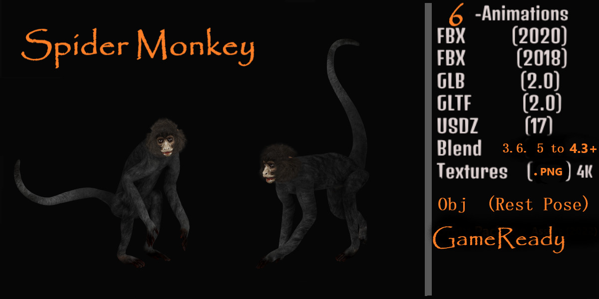 Spider Monkey Low-poly 3D model_2
