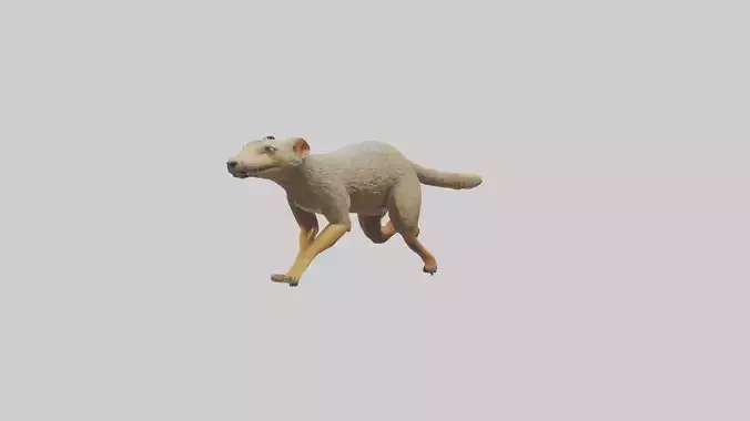 Mongoose running model