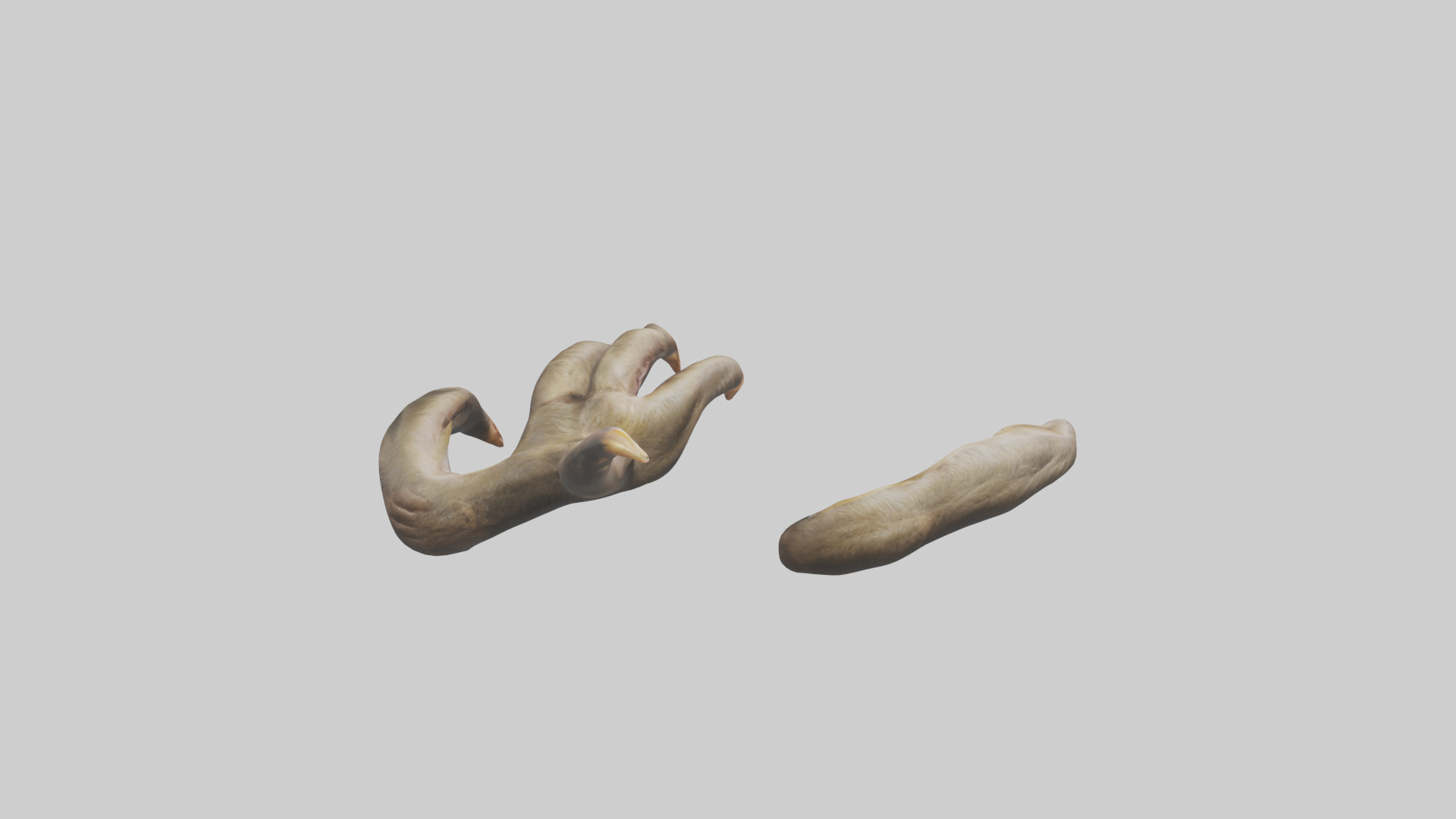 Monkey Claws Low-poly 3D model_15