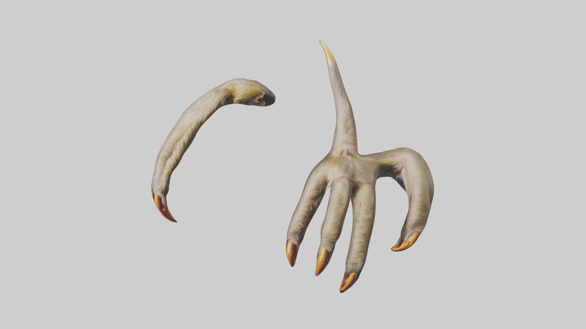 Monkey Claws Low-poly 3D model_16