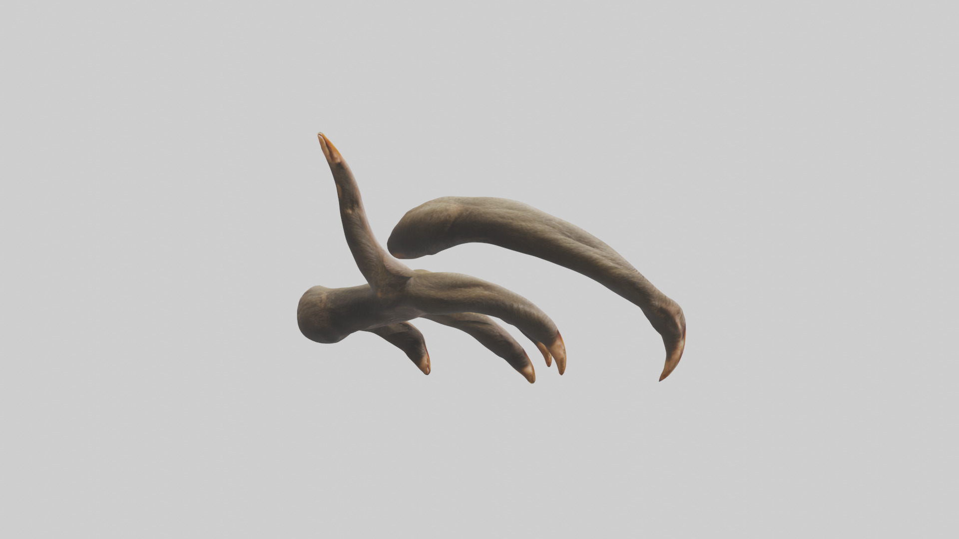 Monkey Claws Low-poly 3D model_2
