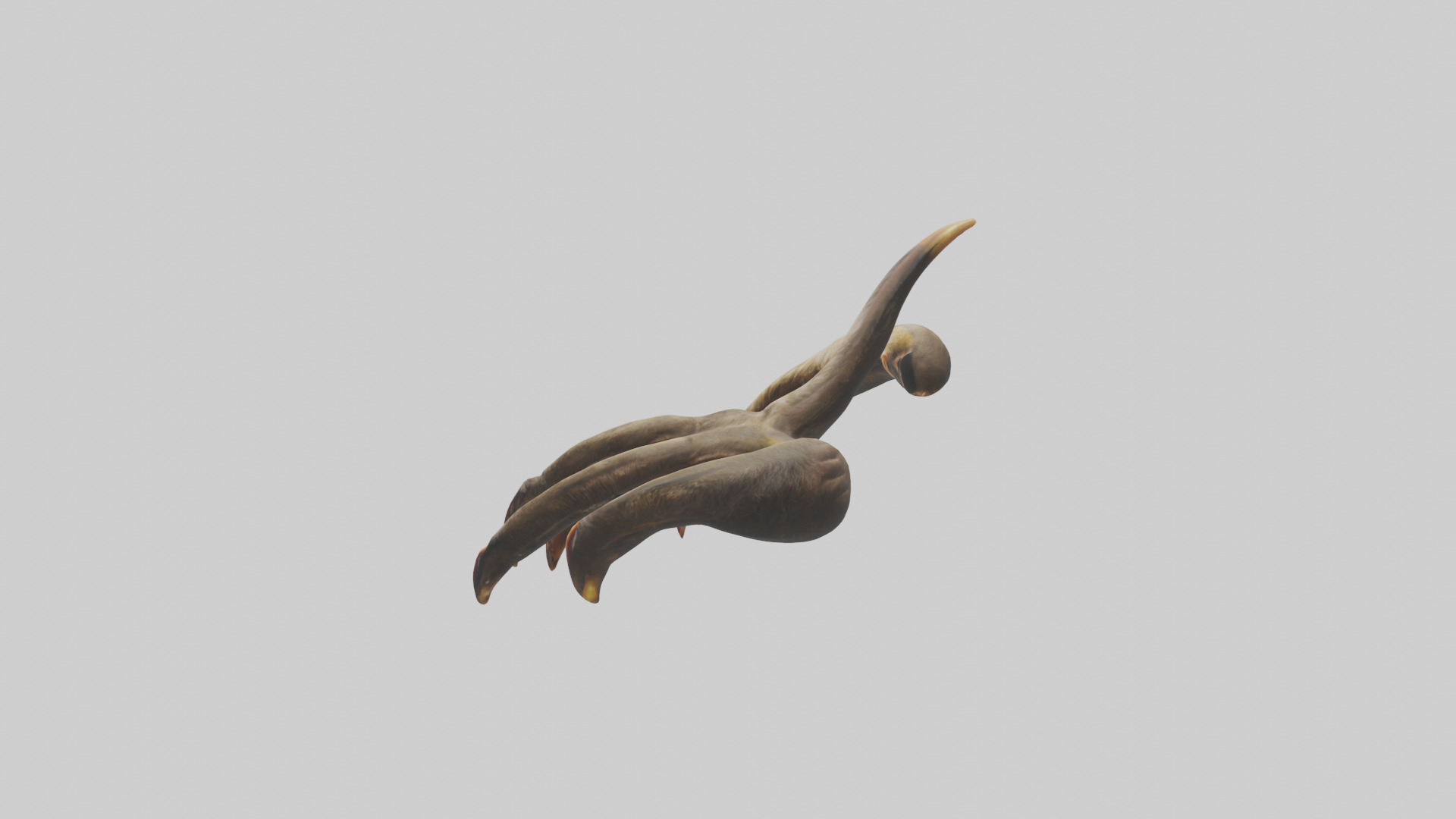 Monkey Claws Low-poly 3D model_12