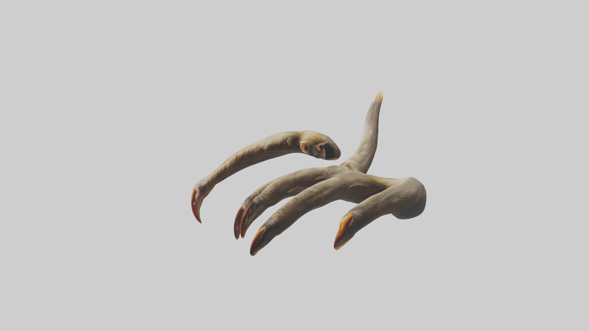 Monkey Claws Low-poly 3D model_10