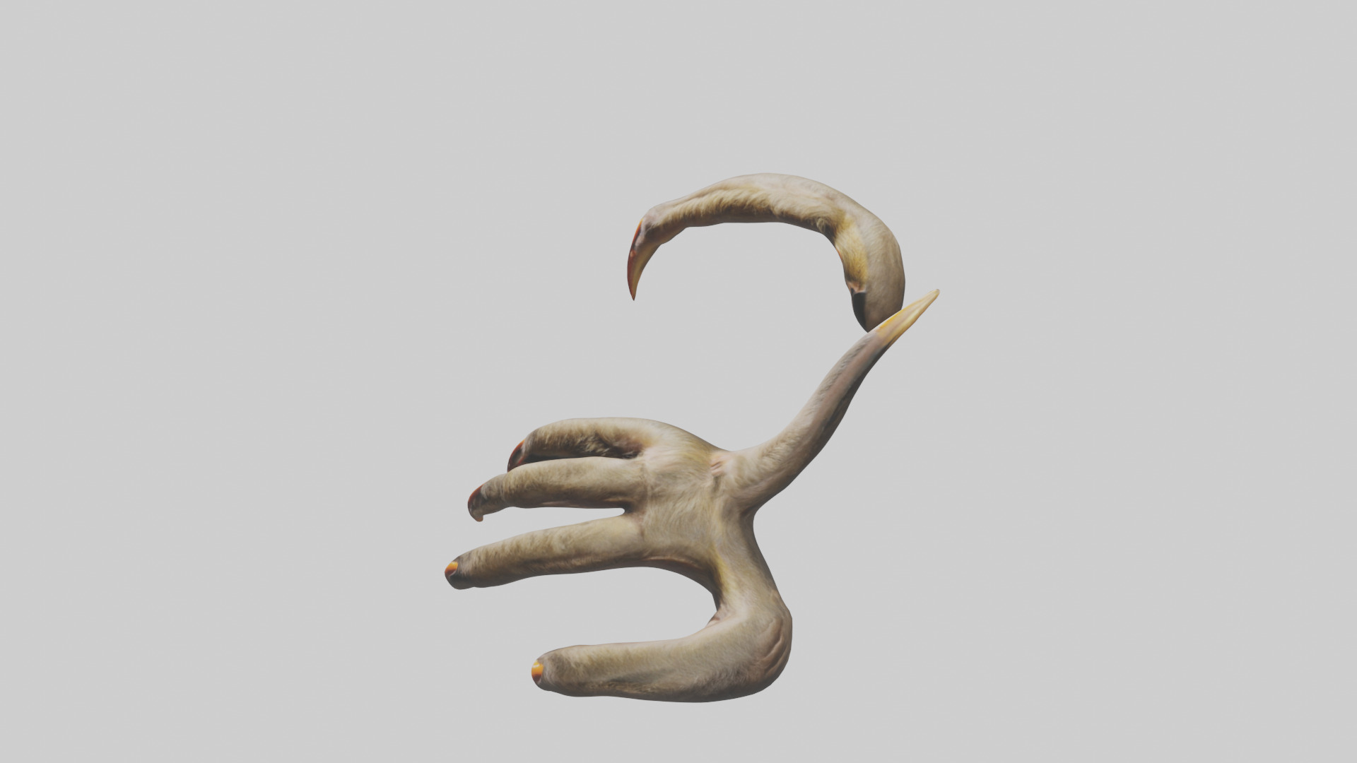 Monkey Claws Low-poly 3D model_17