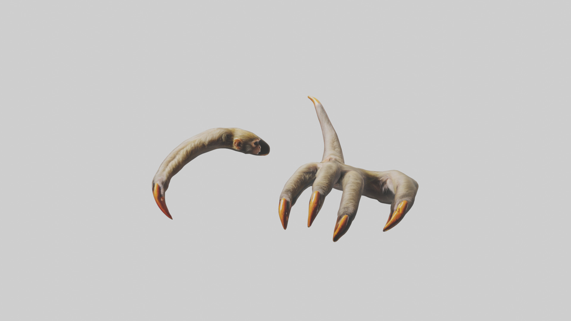 Monkey Claws Low-poly 3D model_9