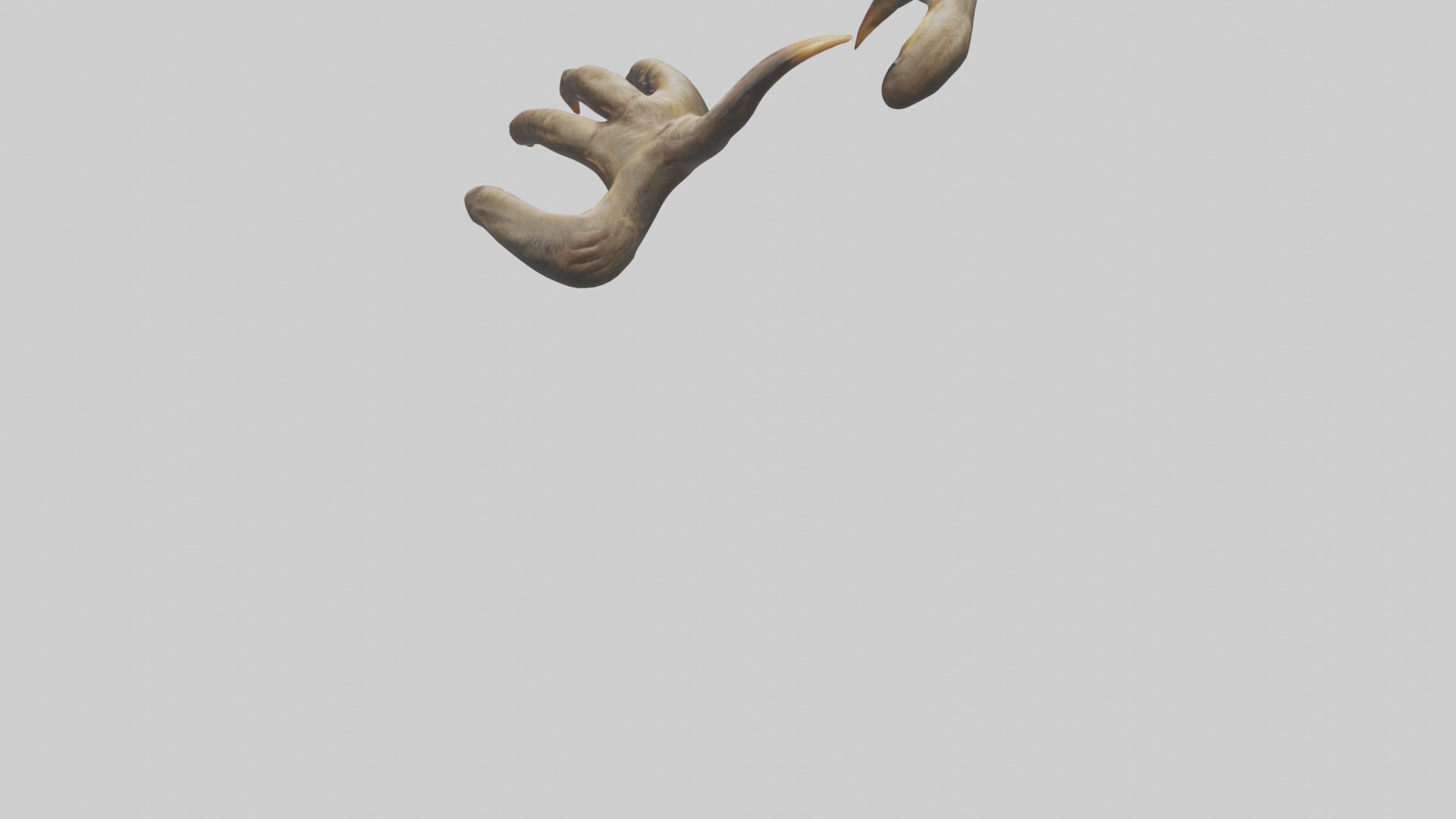 Monkey Claws Low-poly 3D model_3