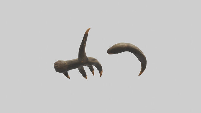 Monkey Claws Low-poly 3D model