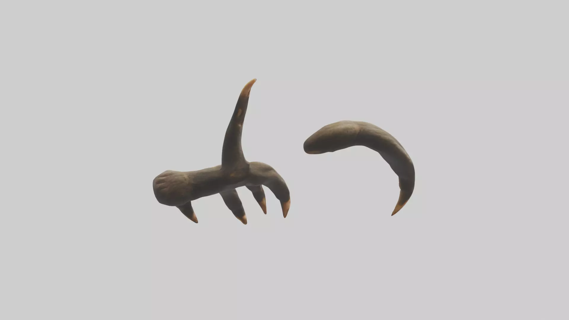 Monkey Claws Low-poly 3D model_0