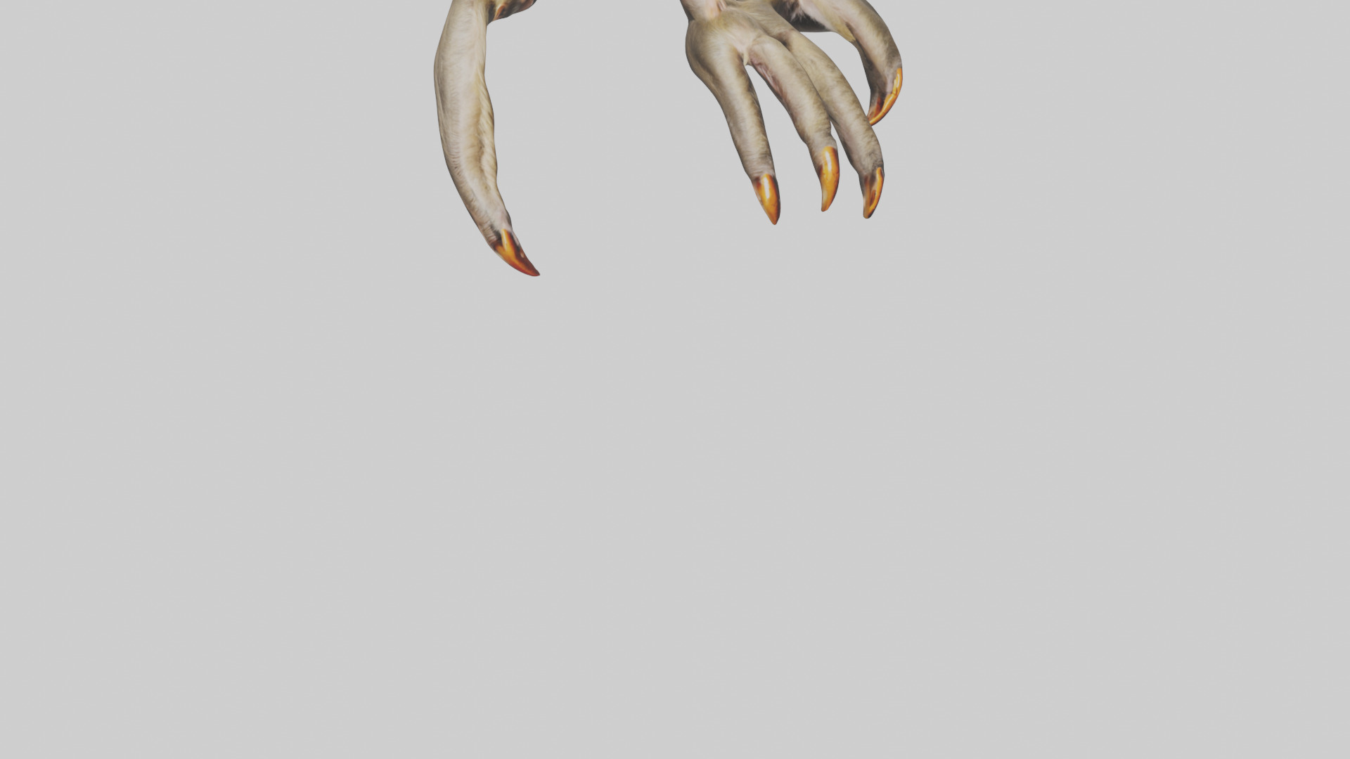 Monkey Claws Low-poly 3D model_6