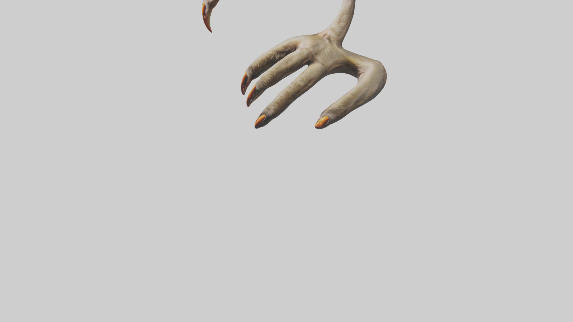 Monkey Claws Low-poly 3D model_5