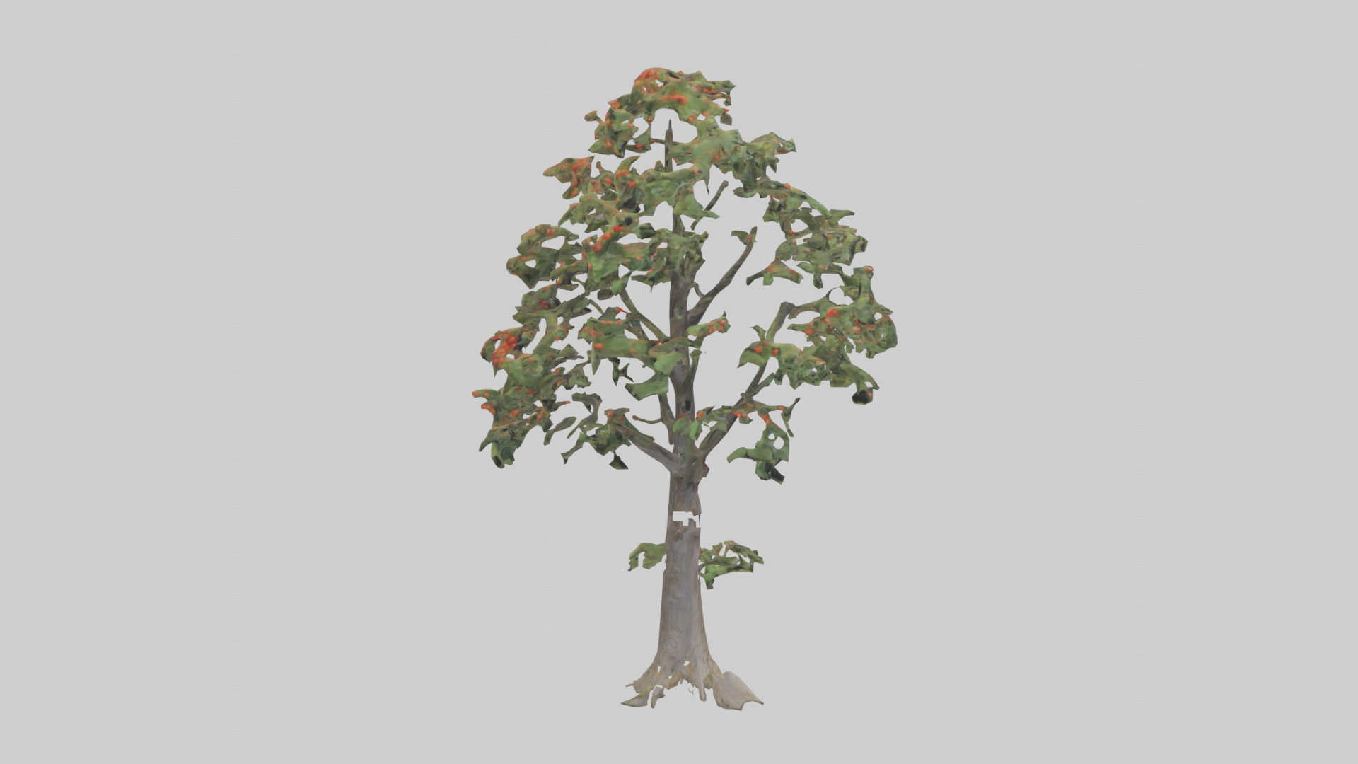 Mountain Ash tree model Low-poly 3D model_13