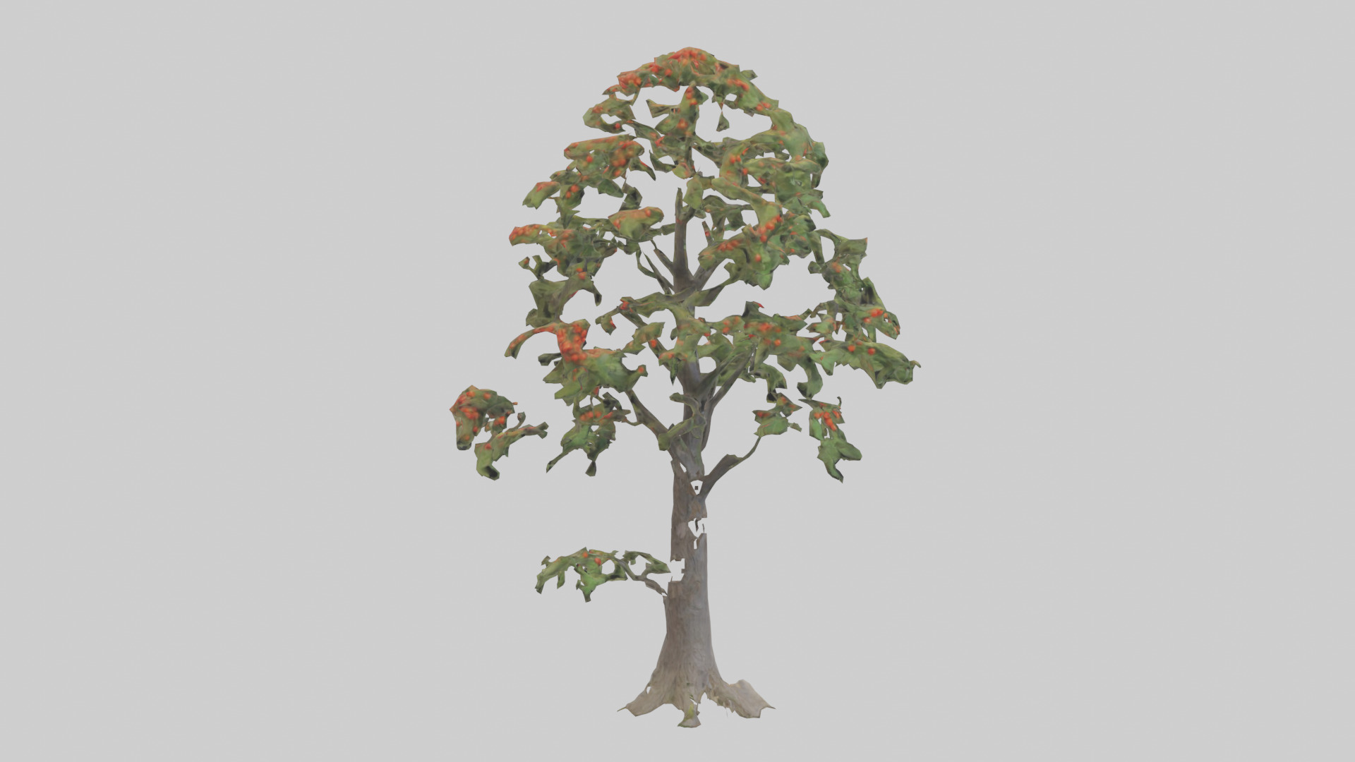 Mountain Ash tree model Low-poly 3D model_2