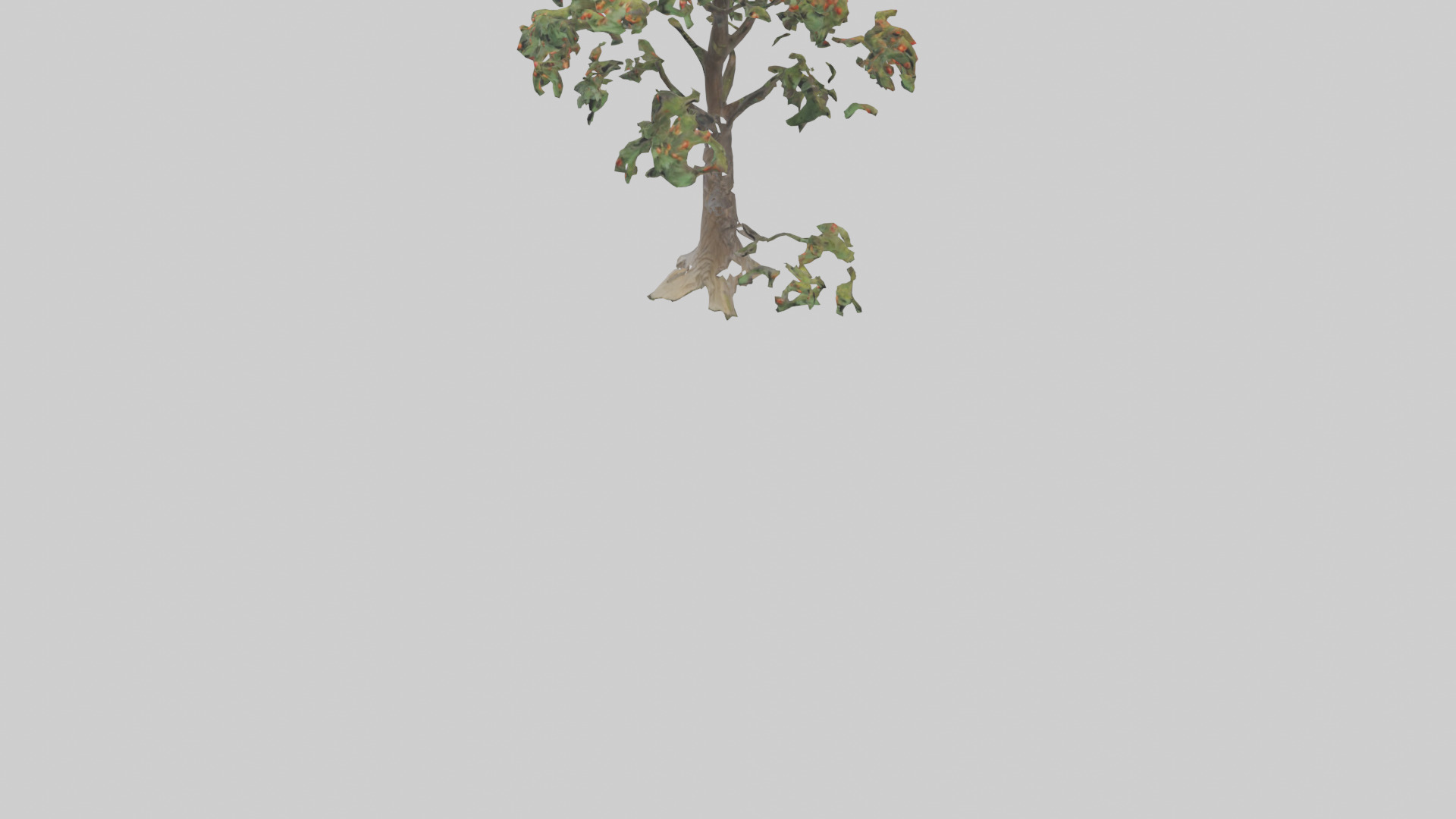 Mountain Ash tree model Low-poly 3D model_5