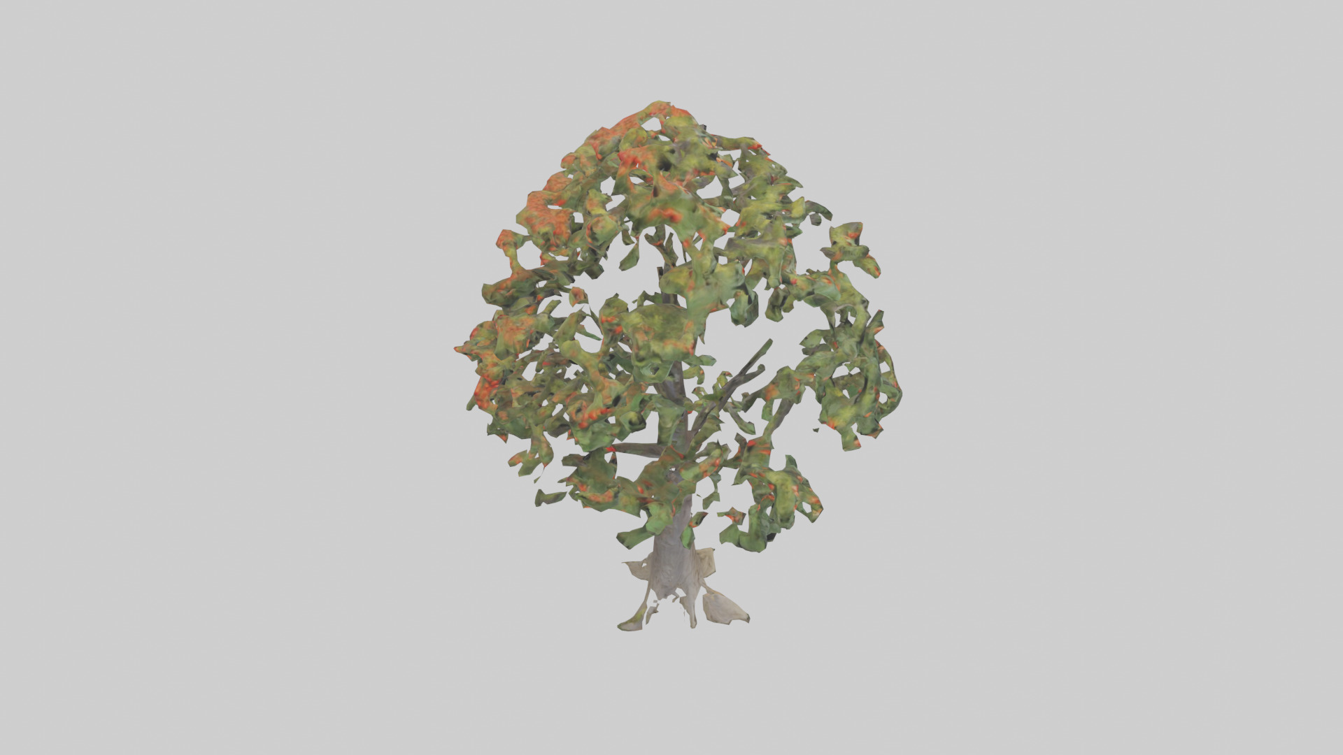 Mountain Ash tree model Low-poly 3D model_18