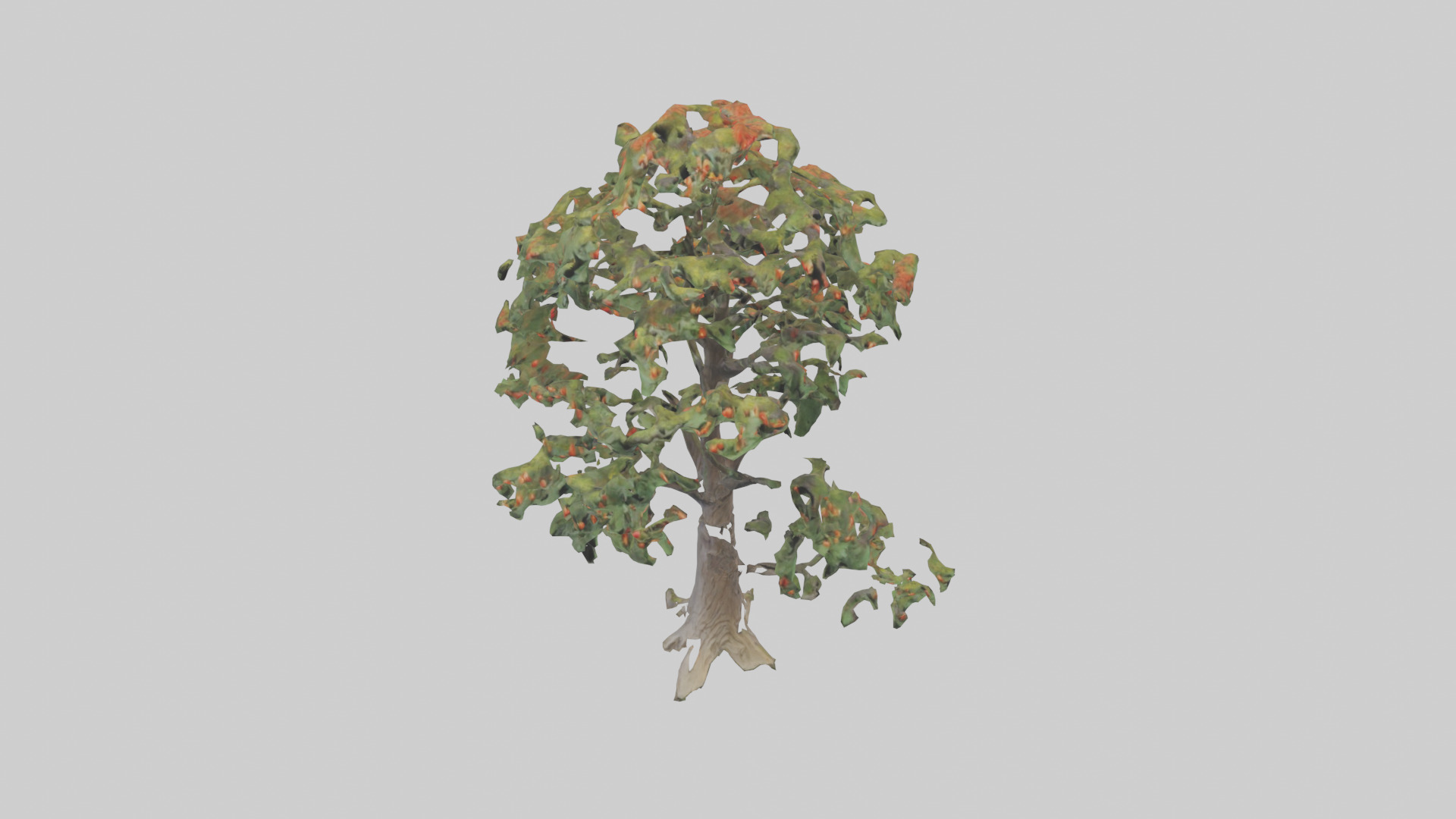 Mountain Ash tree model Low-poly 3D model_16