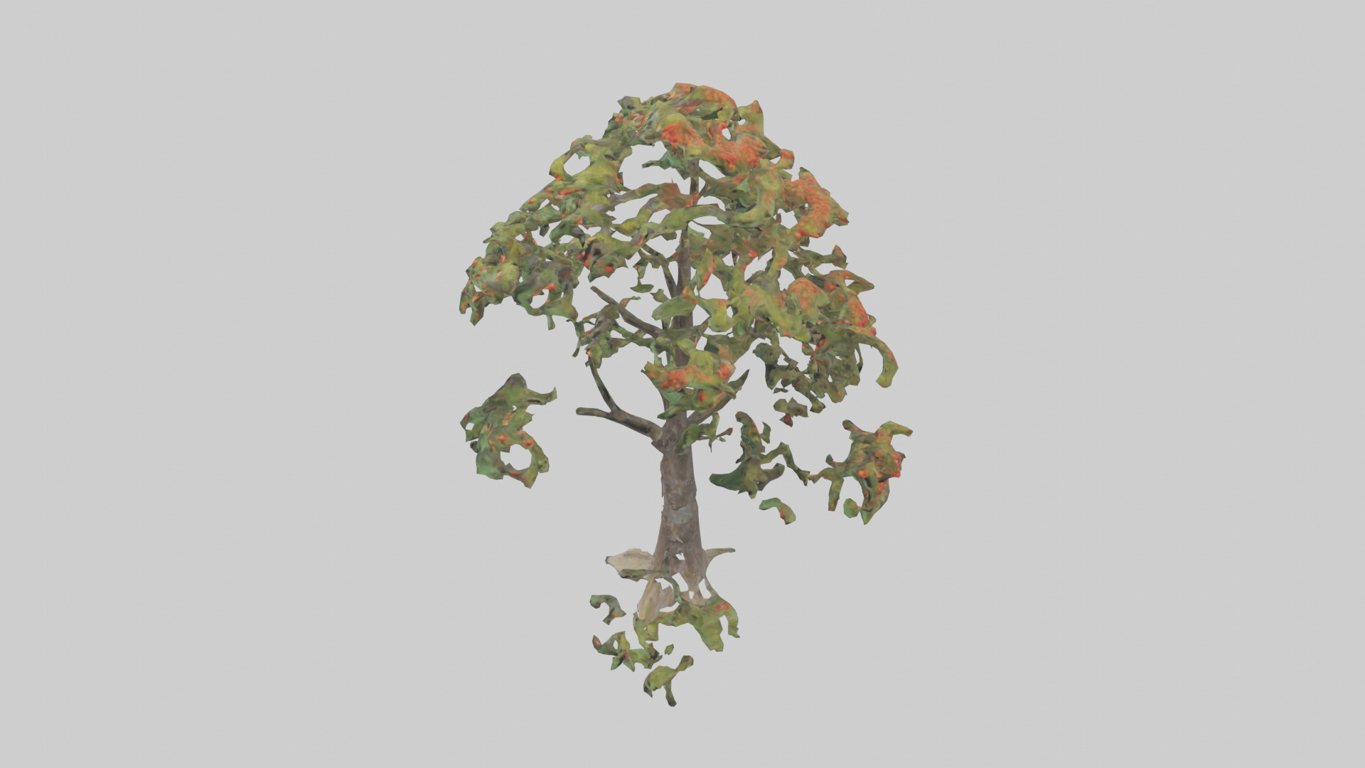 Mountain Ash tree model Low-poly 3D model_17