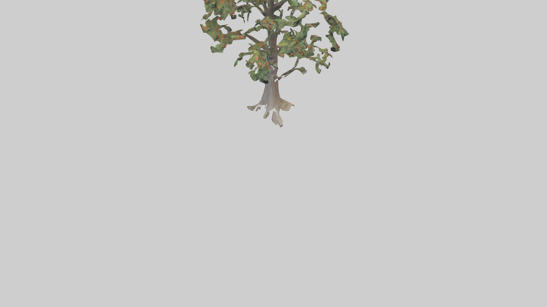 Mountain Ash tree model Low-poly 3D model_6