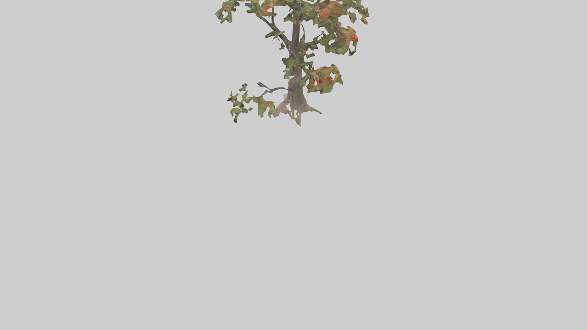 Mountain Ash tree model Low-poly 3D model_3