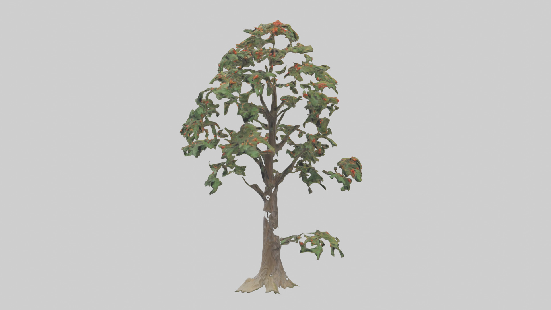 Mountain Ash tree model Low-poly 3D model_10