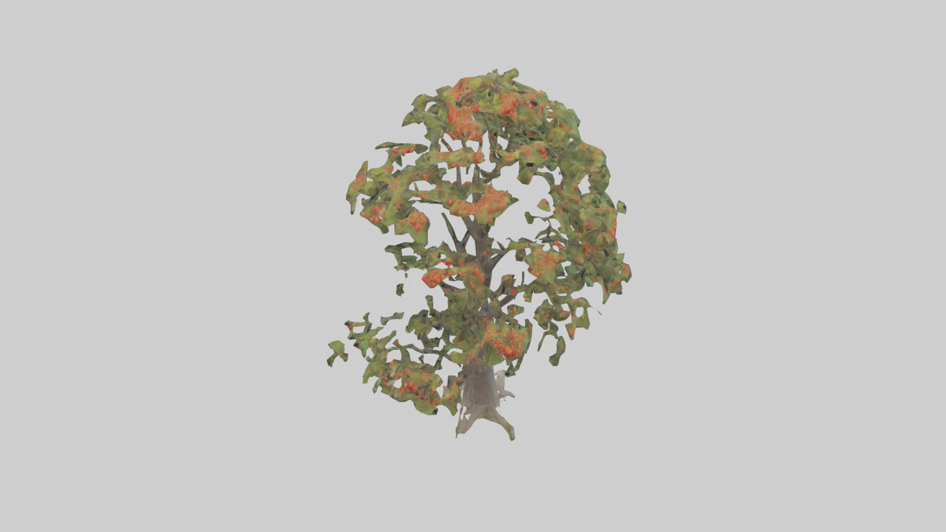 Mountain Ash tree model Low-poly 3D model_15
